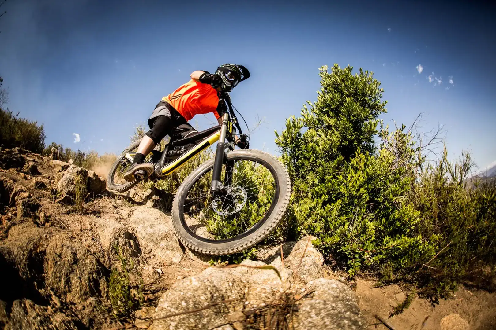 Mountainbikes