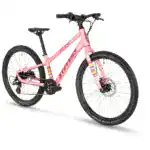 17064_1_-1 STEVENS Beat SL Disc 20/24" Wild Rose Galerie