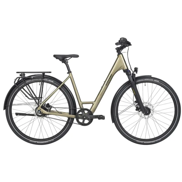 Aviolo 5.2 Forma Light Olive