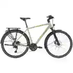 Aviolo 7.1 HT Bonsai Green