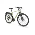 Stevens Aviolo 7.1 HT Bonsai Green Galerie