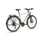 Stevens Aviolo 7.1 HT Bonsai Green Galerie