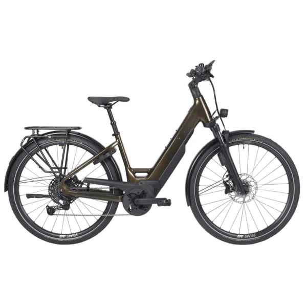 Stevens E-Triton 8.8.1 Plus Forma Smoked Oak Brown kaufen | FitBike Zürich