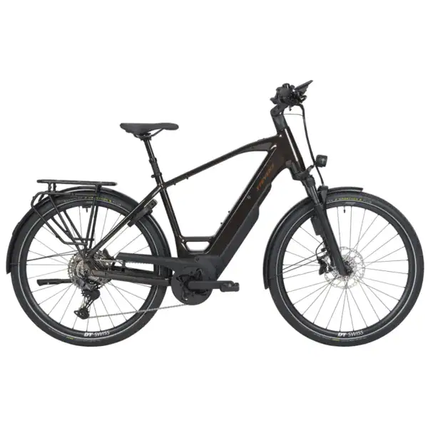 Stevens E-Triton 8.8.1 Plus HT Autumn Brown kaufen | FitBike Zürich
