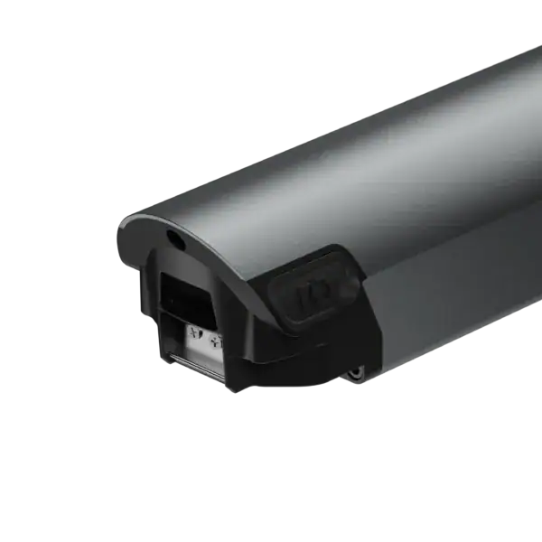 CGO600 Pro Battery 2