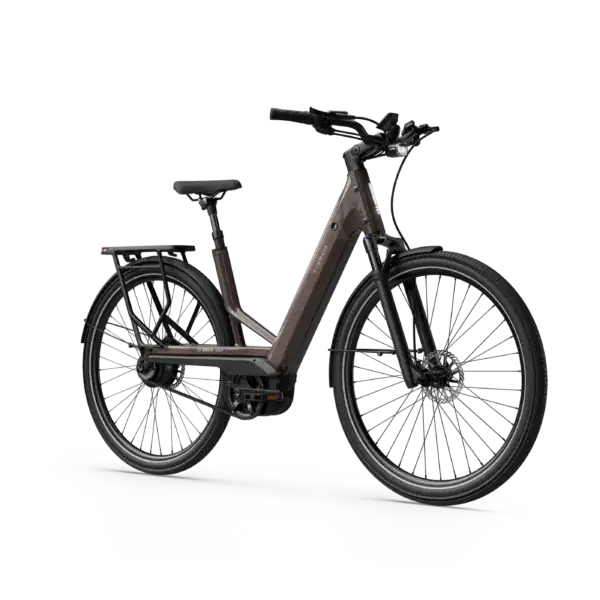 TENWAYS AGO Performance Walnut Brown – Front